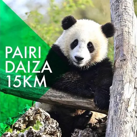 Station Center アパート *