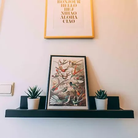 Station Center * Mons